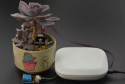 EcoDuino - An Auto Planting Kit