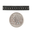 Screw Terminals - 3.5mm, 12-pin