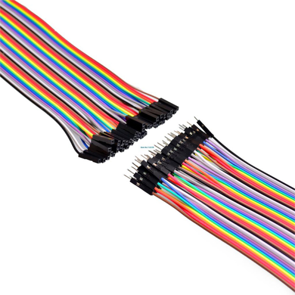20cm Dupont Wire, 40 pins, ends
