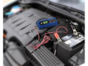 Battery charger COMPASS 07146 6/12V