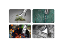 Weed eliminator VIGAN ELP4V1 multifunctional