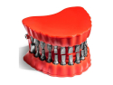 Denture Bits Holder GADGET MASTER
