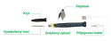 Soldering pen TIPA ZD-20U USB 8W