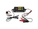 Battery charger CARCLEVER 35939 12V/24V 6A