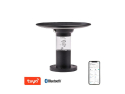 Smart solcellelampe IMMAX NEO 07908L Bubbles WiFi Tuya - lille stolpe, dæmpbar, RGB, timer, udendørs