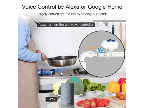 Smart Vandventil WiFi MOES WV-QY-EU, Motoriseret, 12V/1A, Kompatibel med Alexa og Google Assistant