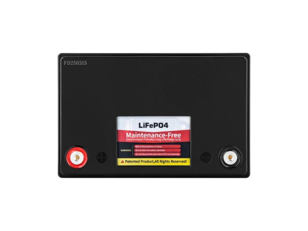 Battery LiFePO4 12.8V 100Ah VIPOW BAT0496 with BMS