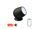 Smart LED lamp IMMAX NEO Atmosphere 07739L WiFi Tuya