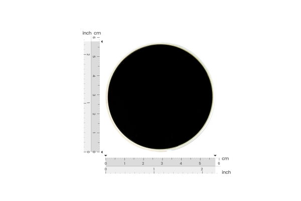 ESP32-S3 Round Touch Display Development Board (1.85", AI Voice &amp; Wireless Charging)