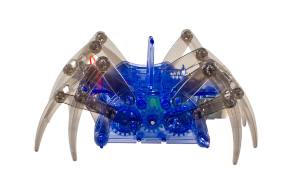 Spider Robot DIY B/O, 2 Assembly Choices, Battery Included