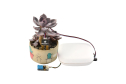 Auto Planting Kit EcoDuino, Water-Proof, Atmega32U4, Auto Watering