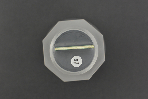 MaxSonar I2CXL-WR MB7040, IP67, 765cm Range, I2C Interface